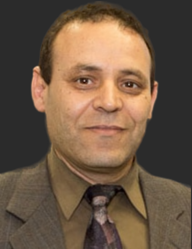 Prof. Hamed H. Saber